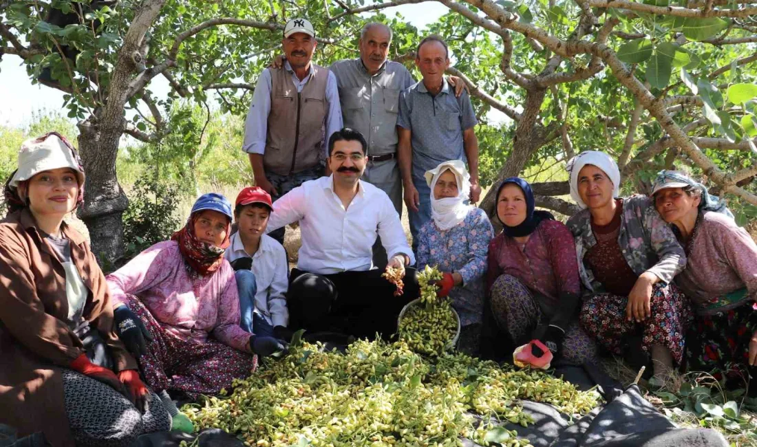 MANİSA’NIN SELENDİ İLÇESİNDE SON