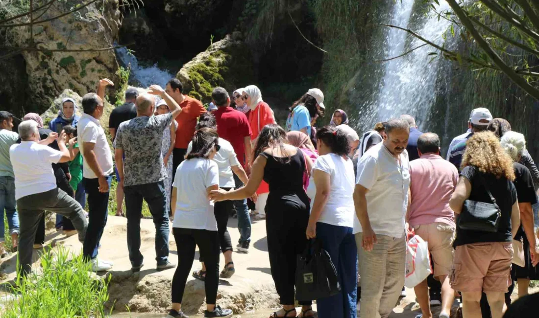 ERZİNCAN'DA "DOĞAL SİT-NİTELİKLİ DOĞAL