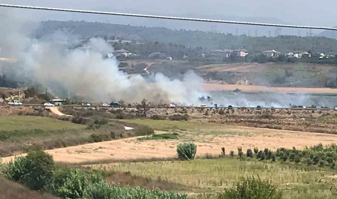 ANTALYA’NIN MANAVGAT İLÇESİNDE KARAYOLUNA