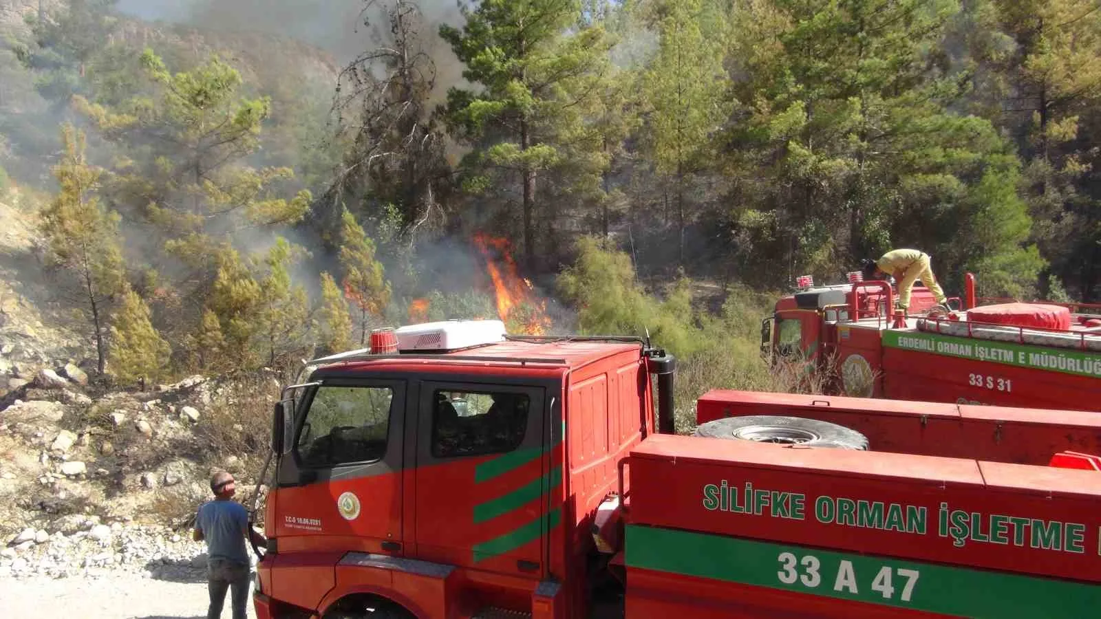 Silifke’de 250 dönüm ormanlık alan yandı