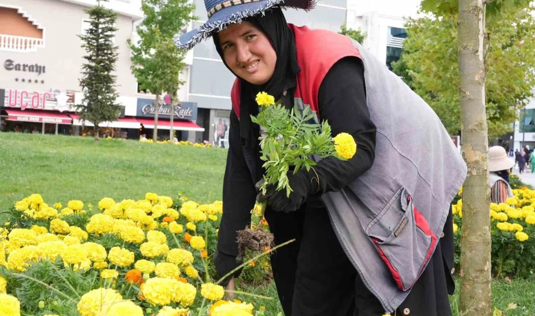 DÜZCE BELEDİYESİ SONBAHAR AYLARINA