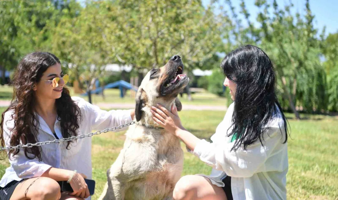 ANTALYA’DA KONYAALTI BELEDİYESİ SOKAK