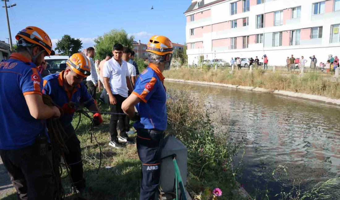 ESKİŞEHİR'DE SULAMA KANALINA DÜŞEN