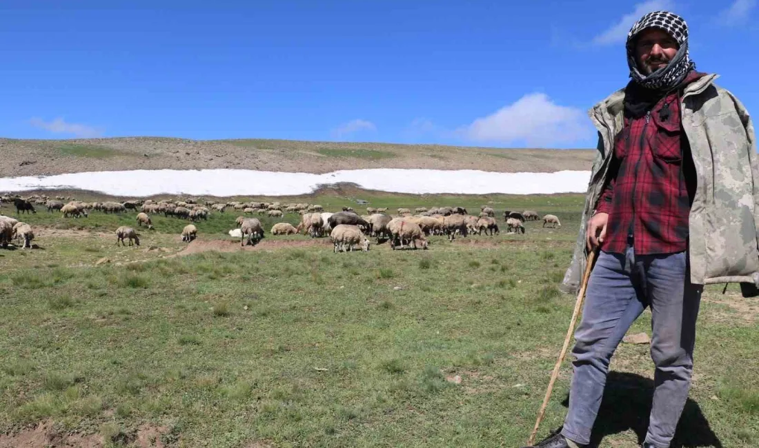 TARIM EKONOMİSİ ARAŞTIRMALARI DERGİSİ’NDE