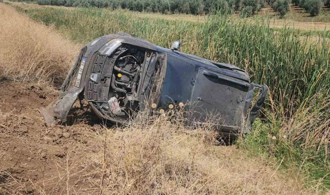 HATAY’DA TAKLA ATARAK TARLAYA