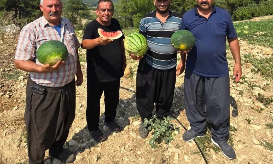 TARSUS İLÇESİ SANDAL MAHALLESİ’NDE