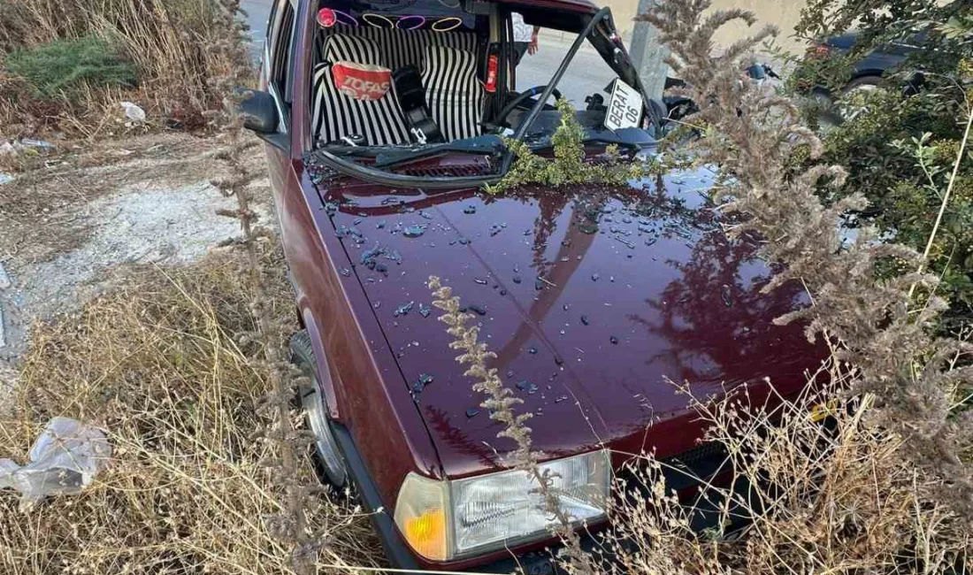 HATAY'IN ANTAKYA İLÇESİNDE DİREĞE