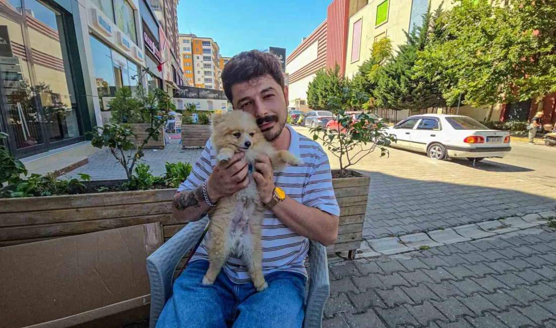 SECAADDİN AVCI VE KÖPEĞİ