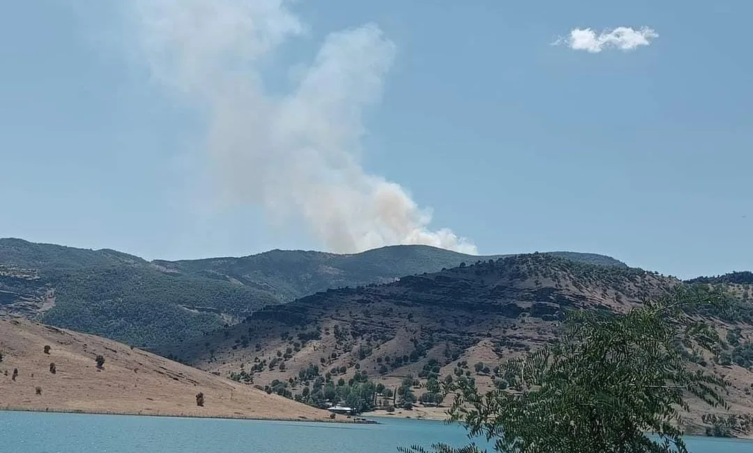 ZARGOVİT BÖLGESİNDE ÖĞLEDEN SONRA