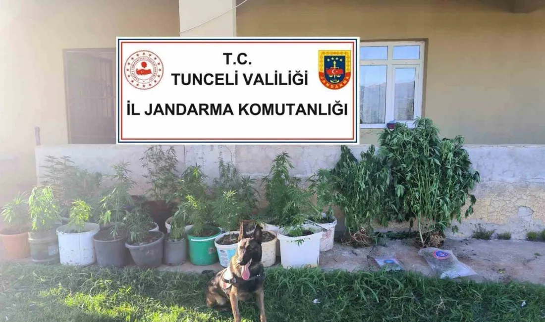 TUNCELİ’DE JANDARMA EKİPLERİNCE DÜZENLENEN