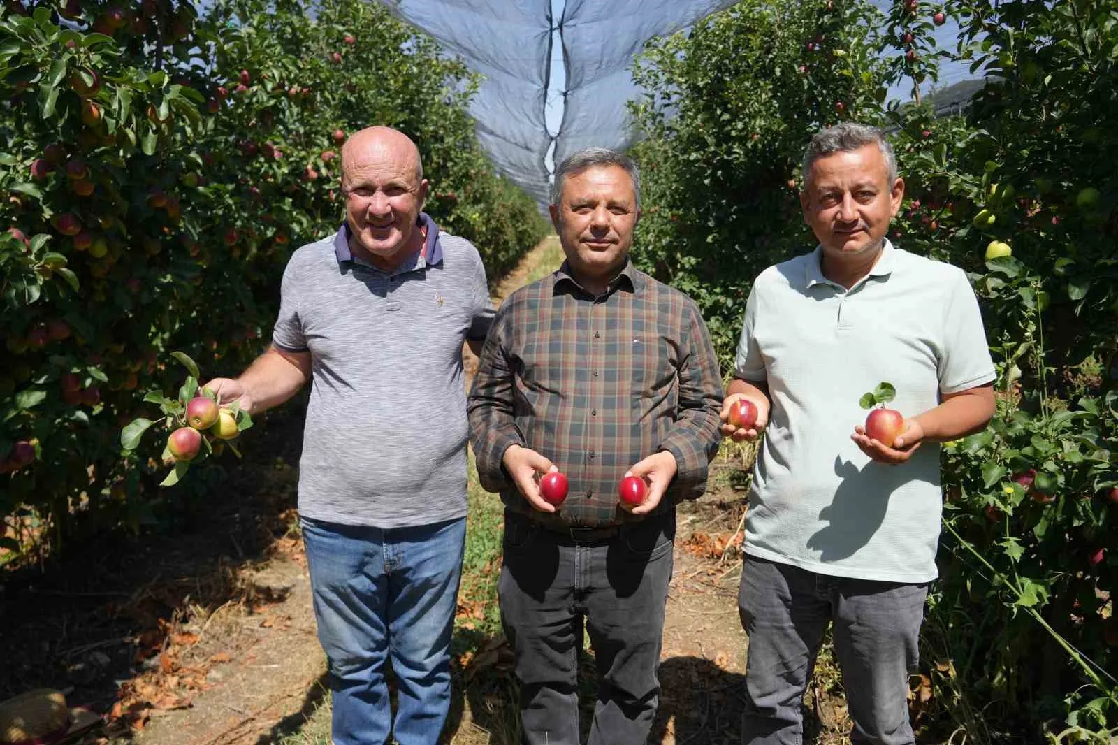 Türkiye’nin önemli elma üretim merkezlerinden Niğde’de hasat devam ediyor