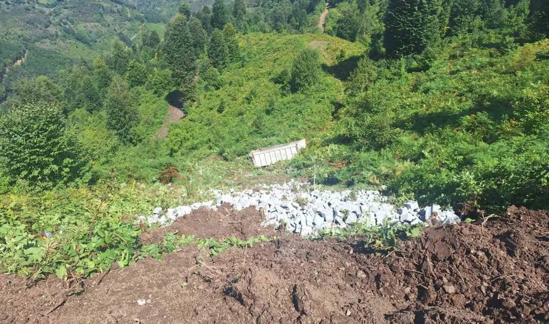 TOKAT'IN ERBAA İLÇESİNDE PARKE