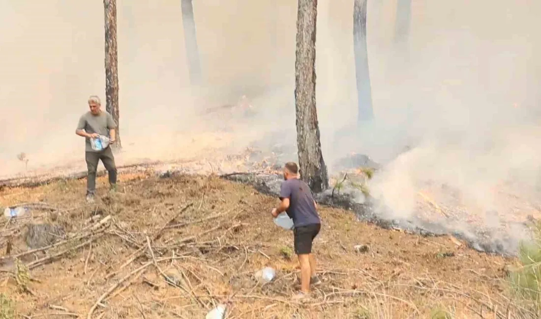 MUĞLA'NIN ULA İLÇESİNDE ÇIKAN