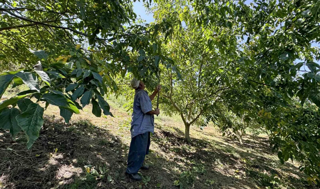 MERSİN'İN TOROSLAR İLÇESİNE BAĞLI