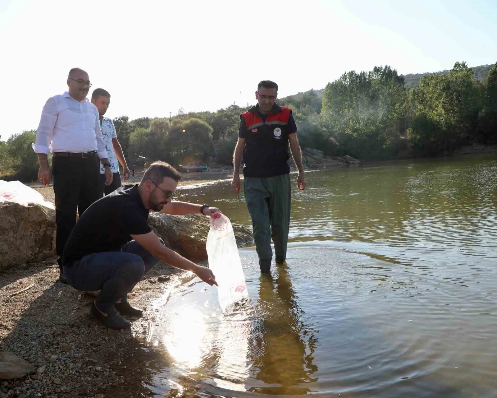 UŞAK’TA 24 GÖLETE TOPLAMDA 368 BİN ADET YAVRU SAZAN BALIĞI