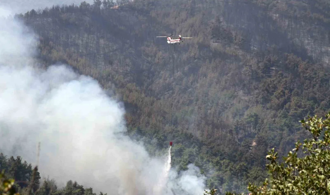 UŞAK’IN EŞME İLÇESİNDE DEVAM EDEN ORMAN YANGINA HAVADAN VE KARADAN