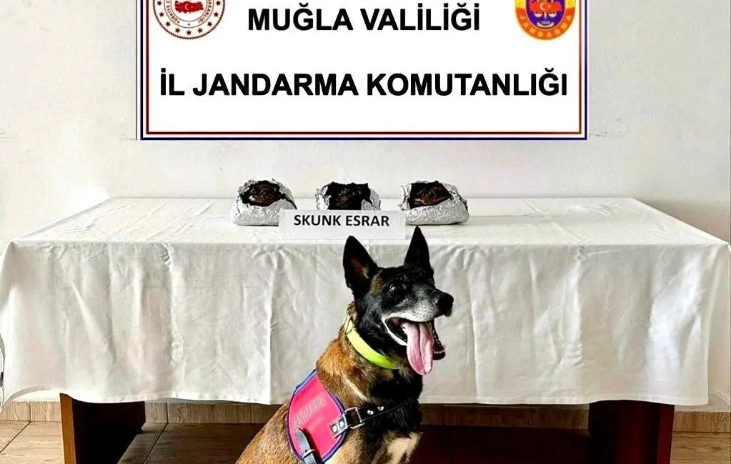 MUĞLA’NIN BODRUM İLÇESİNDE JANDARMA