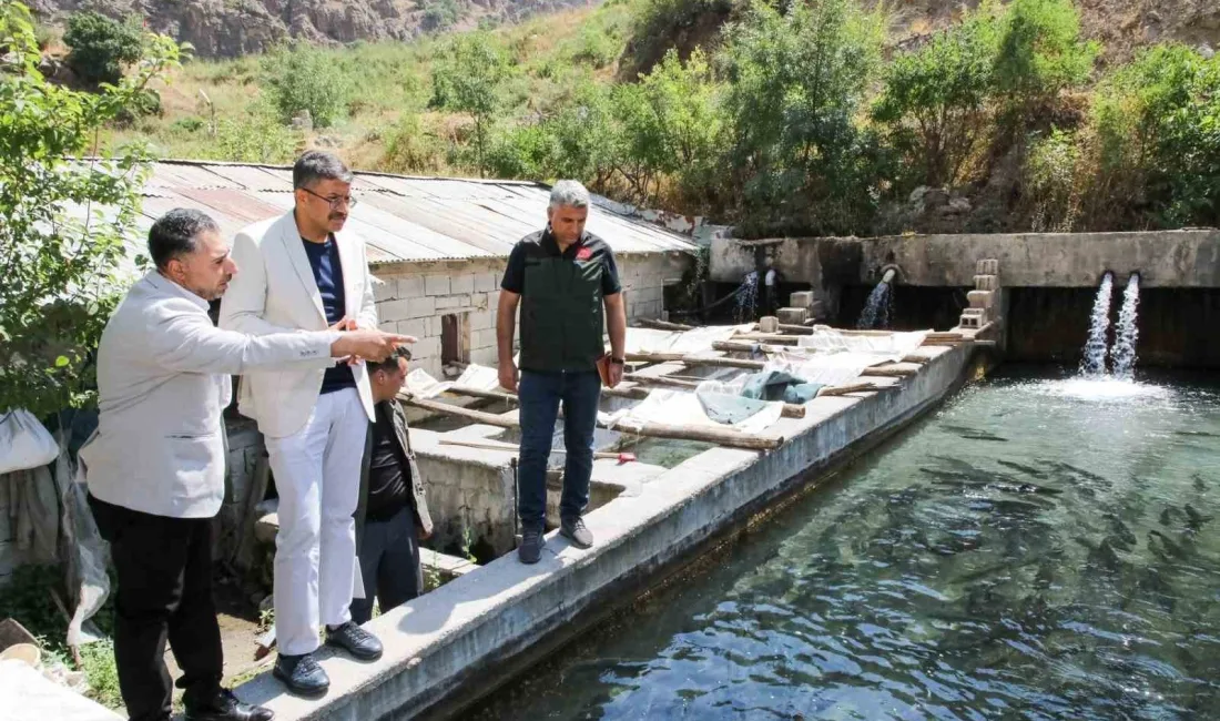 HAKKARİ VALİSİ ALİ ÇELİK,