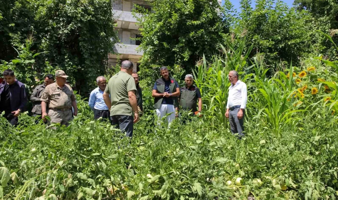 HAKKARİ VALİSİ ALİ ÇELİK,