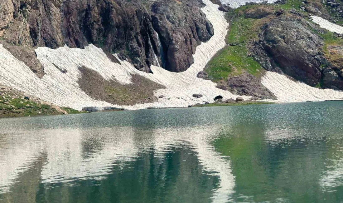 HAKKARİ VALİSİ ALİ ÇELİK,