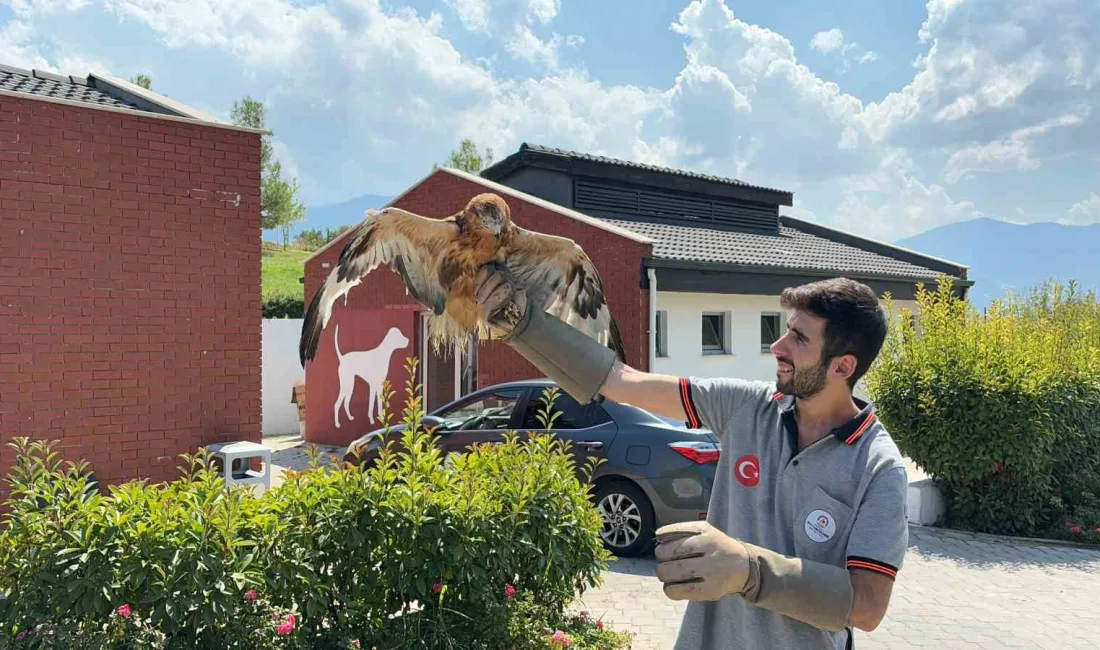 DENİZLİ BÜYÜKŞEHİR BELEDİYESİ SOKAK