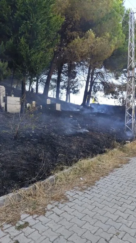 Yalova’da mezarlık yangını