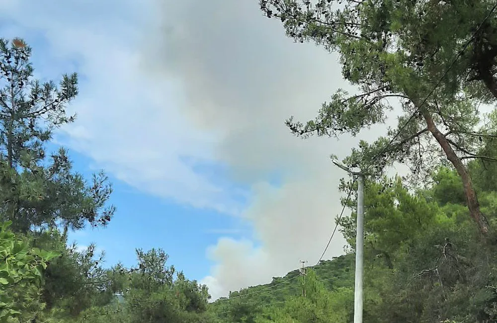 YALOVA'NIN ARMUTLU İLÇESİNE BAĞLI