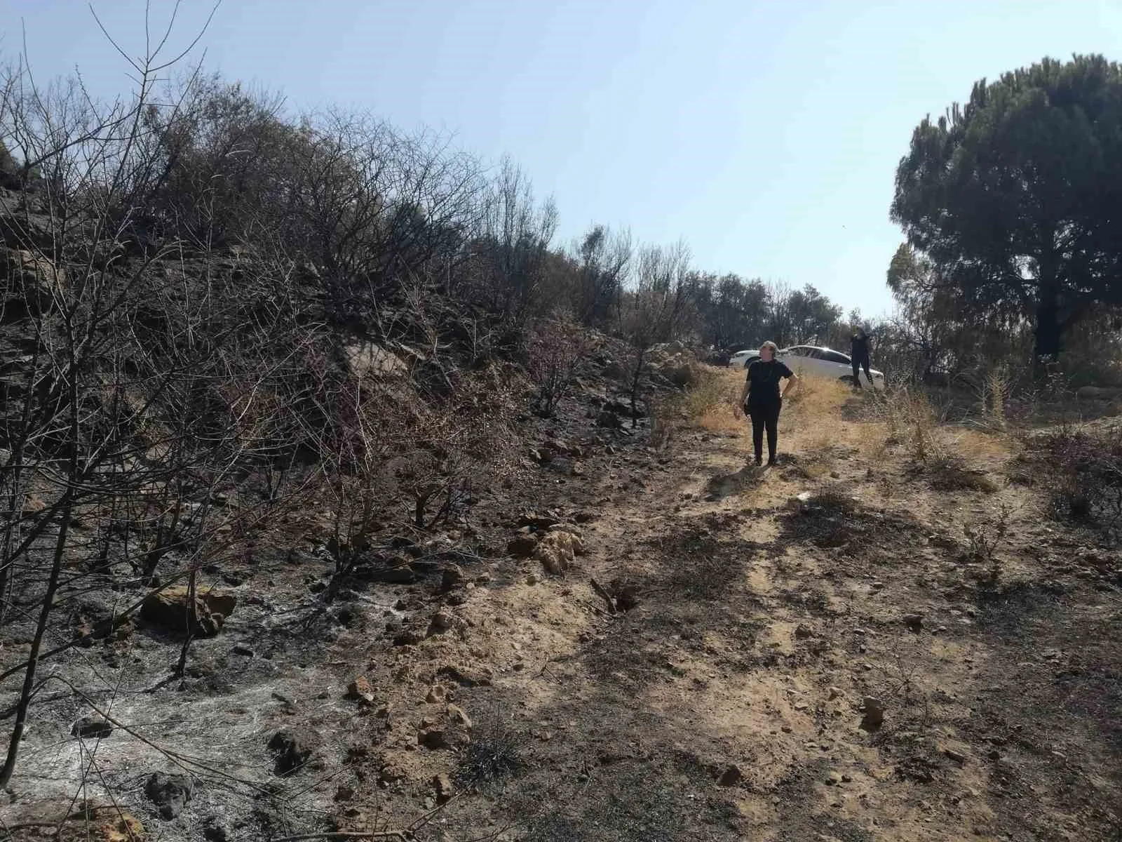 Yangından zarar gören tarımsal alanlarda incelemelerde bulunuldu