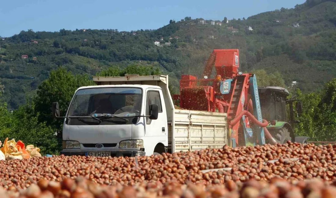 ORDU’DA GEÇEN HAFTALARDA HASADINA