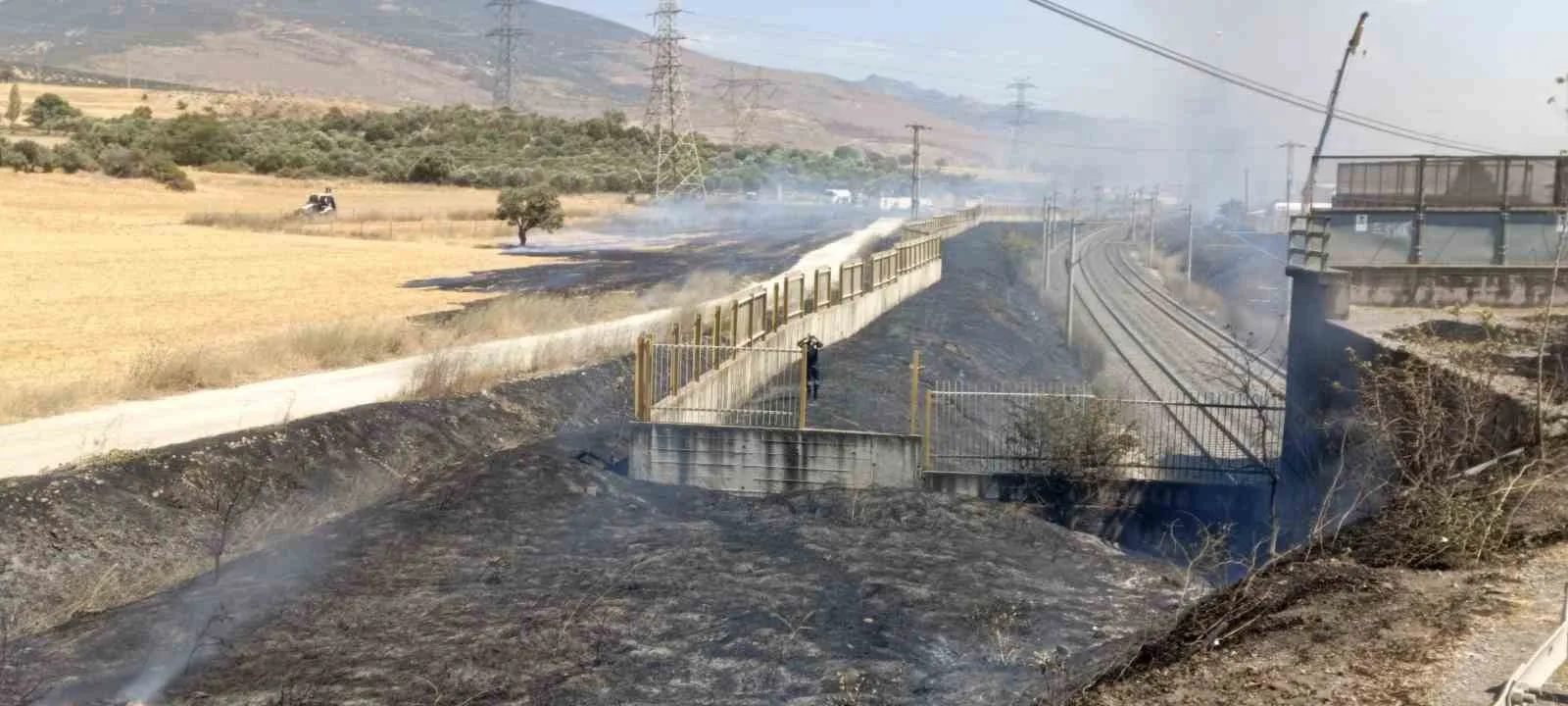 Yol kenarına atılan sigara izmariti yangına sebep oldu