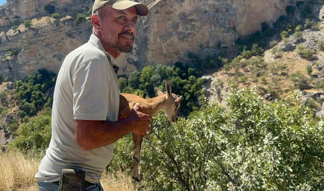 TUNCELİ'NİN ÇEMİŞGEZEK İLÇESİNDE YOLUNU