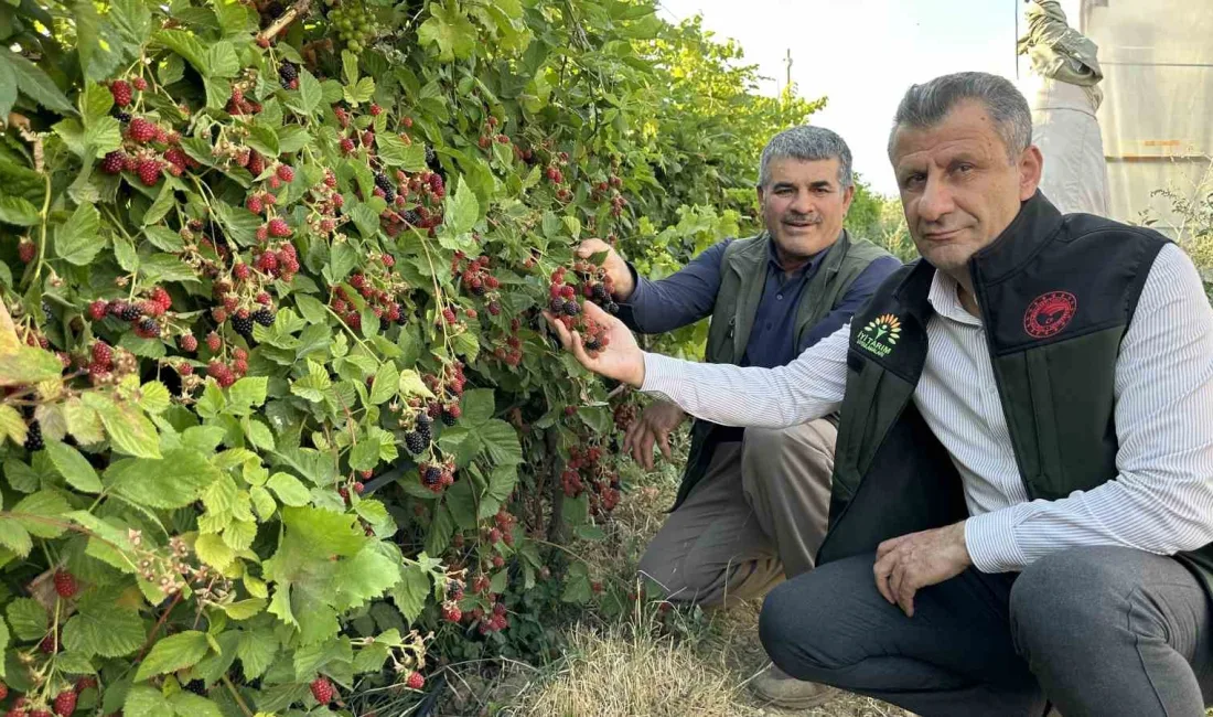 HAKKARİ’NİN YÜKSEKOVA İLÇESİNDE İLKBAHARDA