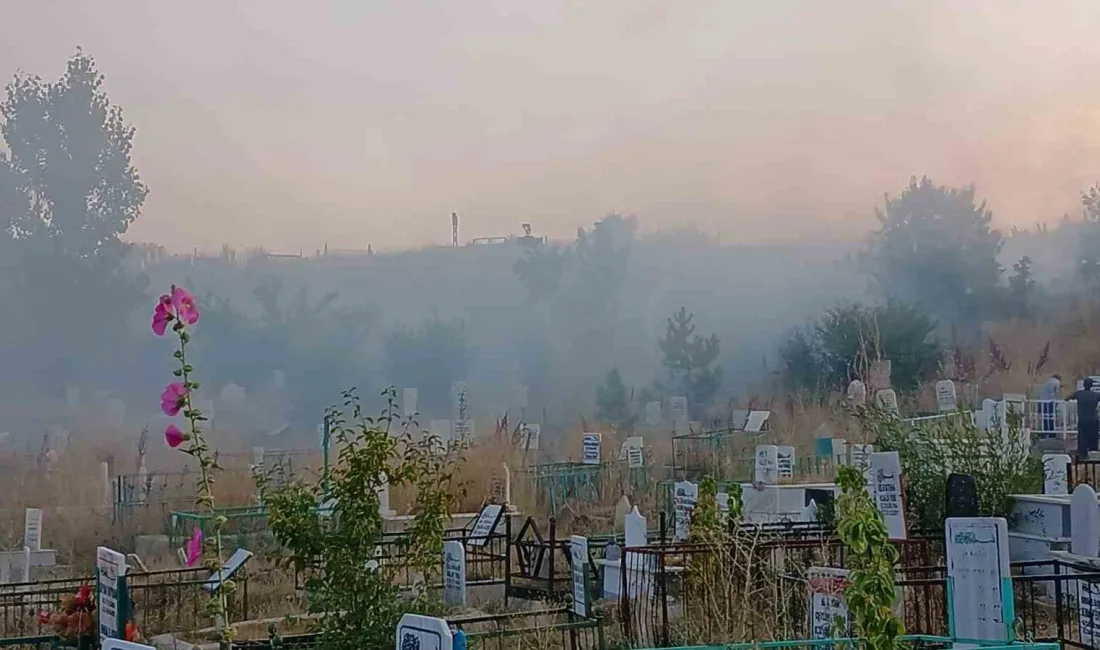 HAKKARİ’NİN YÜKSEKOVA İLÇESİNİN AKALIN