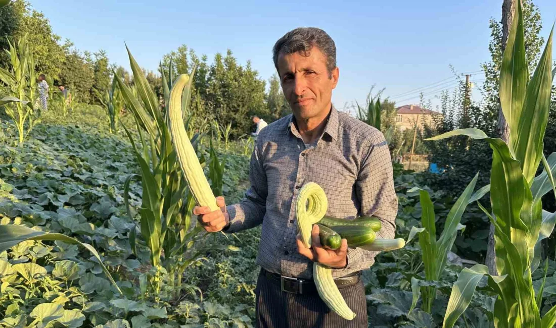 HAKKARİ’NİN YÜKSEKOVA İLÇESİNDE YAŞAYAN