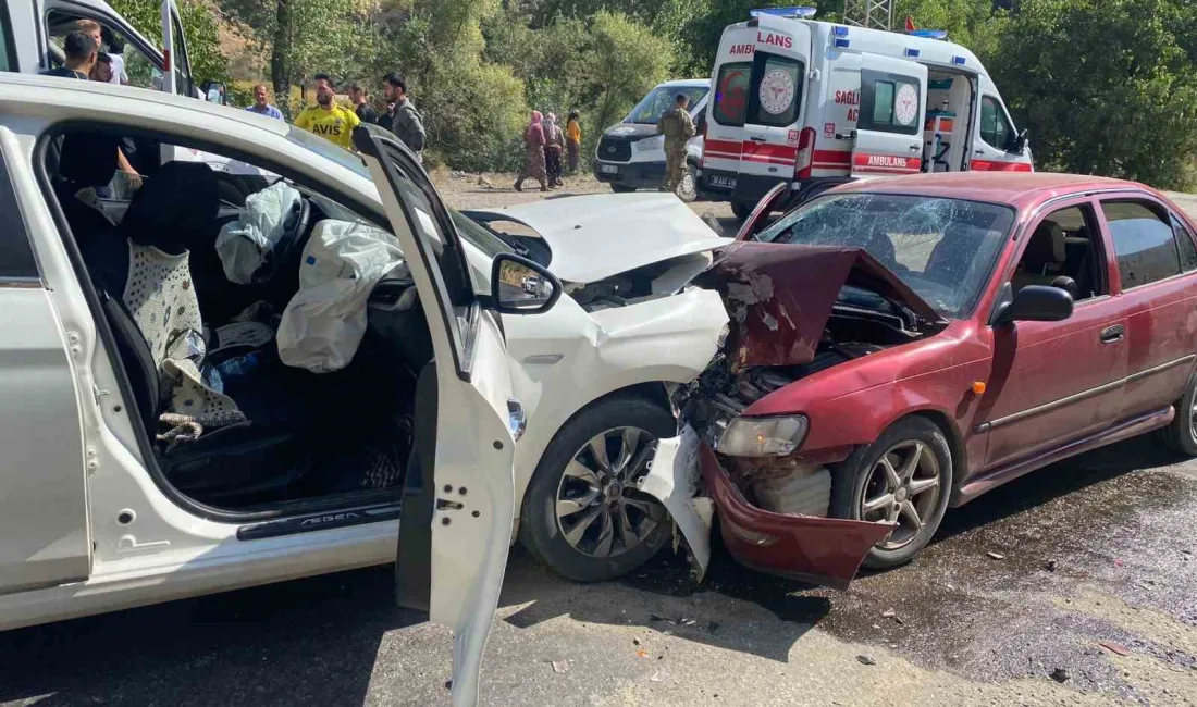 HAKKARİ'NİN YÜKSEKOVA İLÇESİNDE OTOMOBİLLE