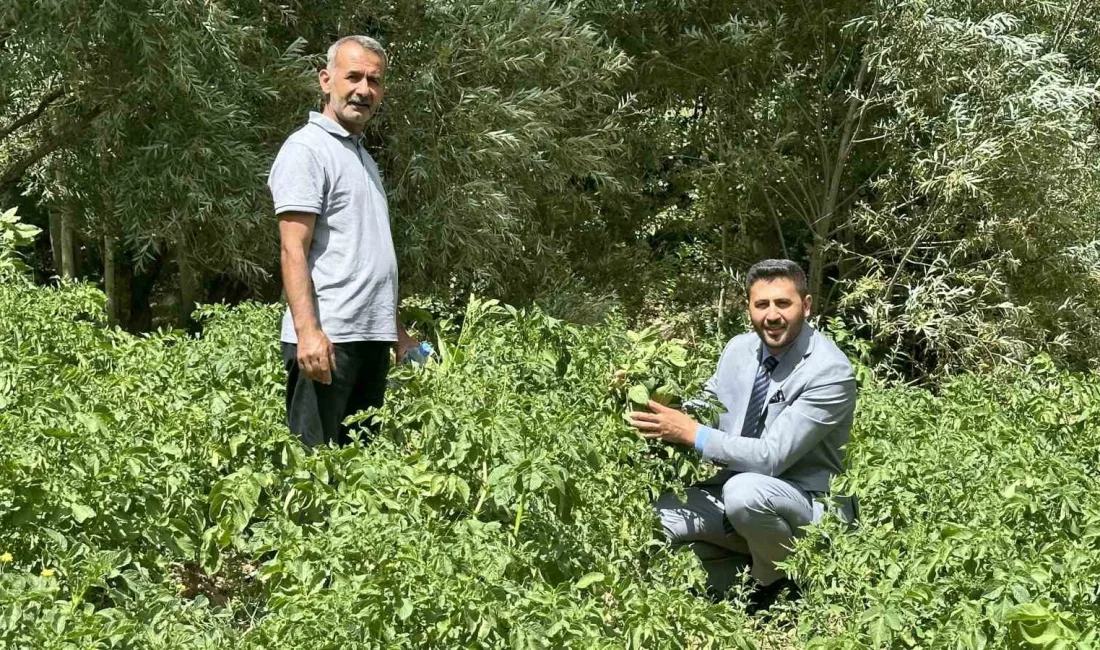 HAKKARİ’NİN YÜKSEKOVA İLÇESİNDE ÇİFTÇİLER