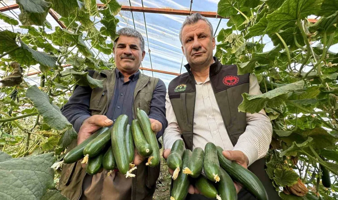 HAKKARİ’NİN YÜKSEKOVA İLÇESİNDE BİR