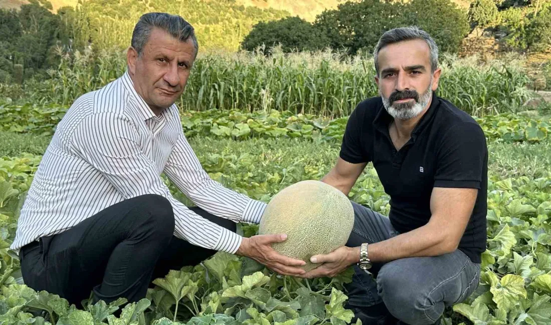 HAKKARİ’NİN YÜKSEKOVA İLÇESİNDE ÇİFTÇİLERİN