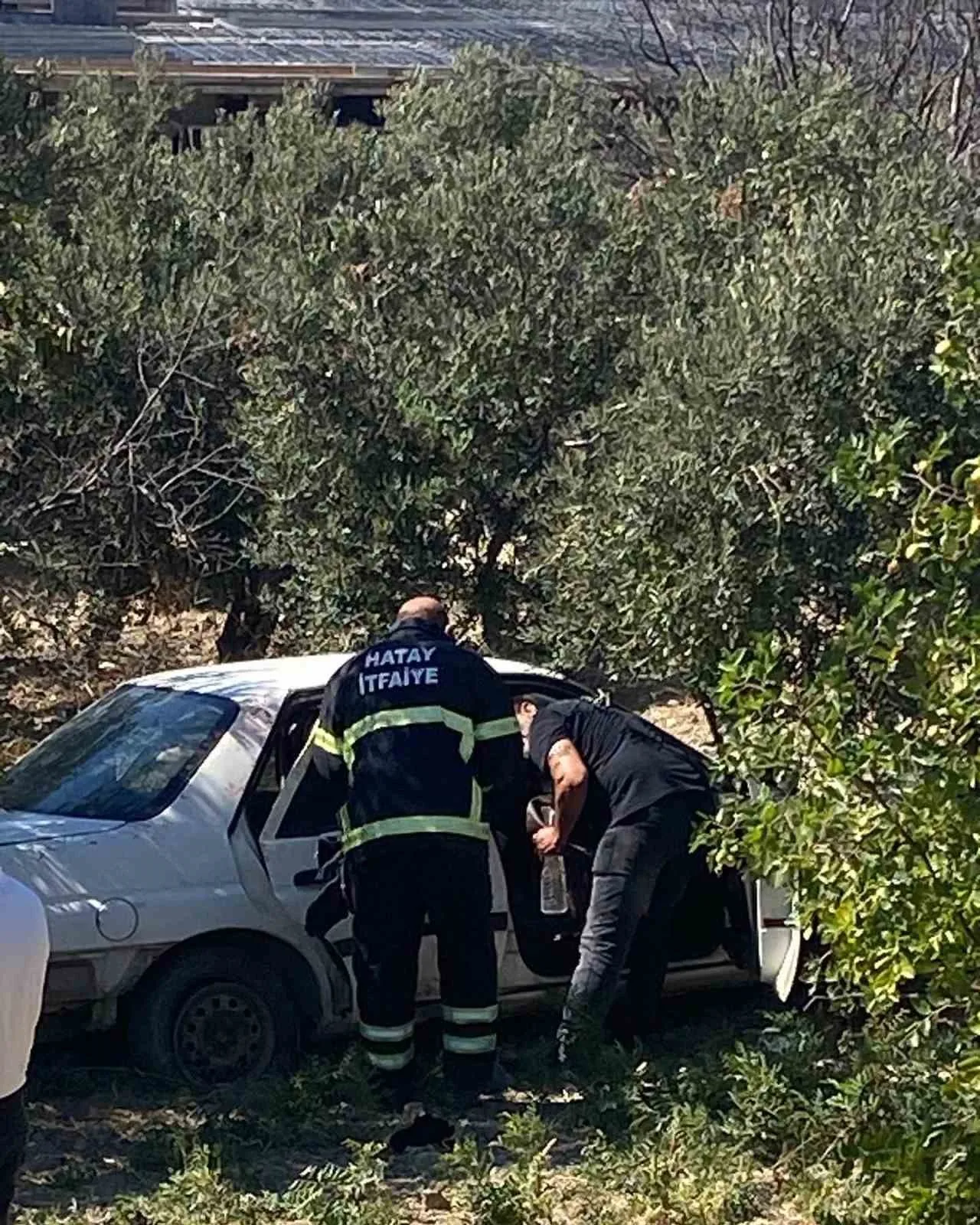 Zeytinliğe uçan otomobildeki 2 kişi yaralandı