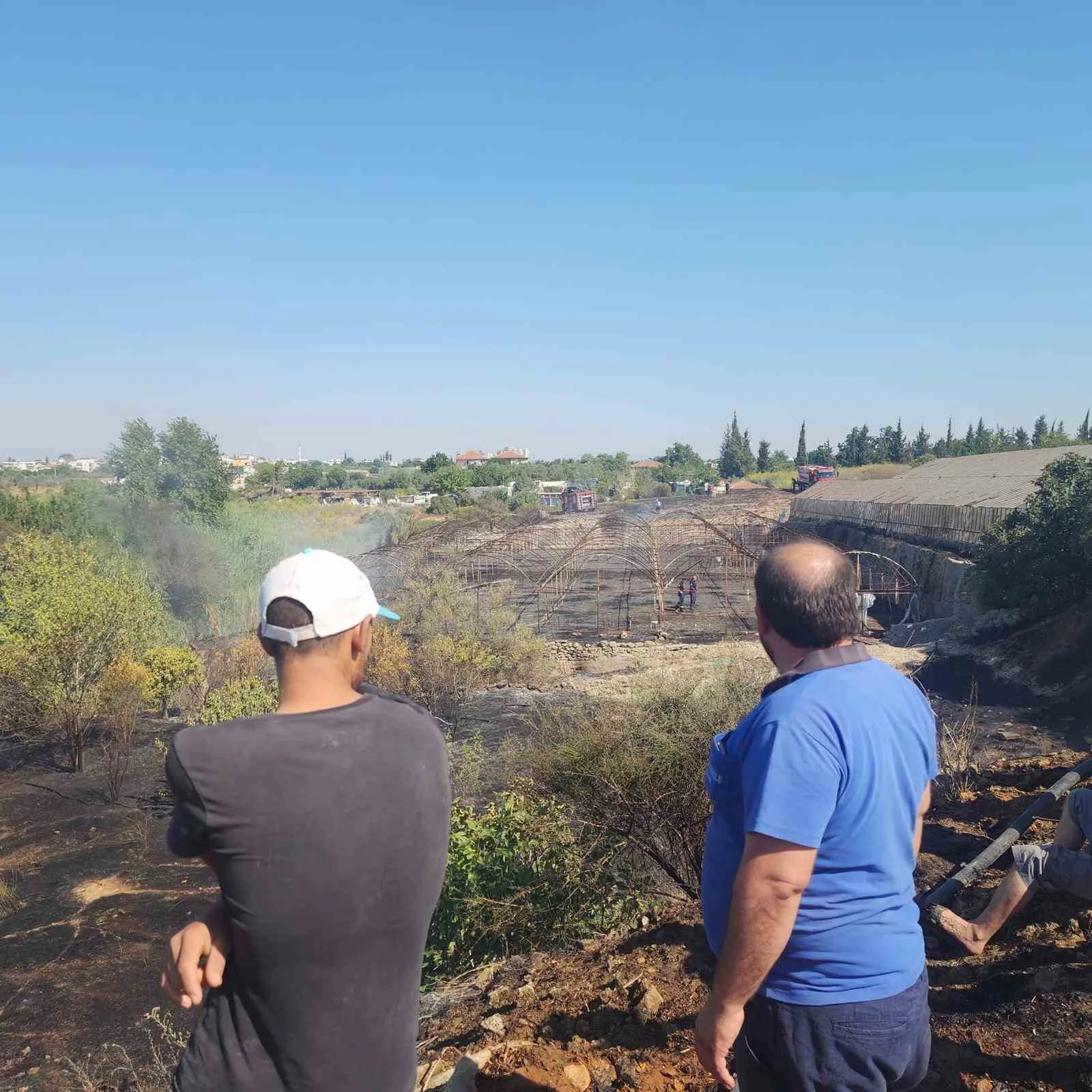 Zeytinlikte çıkan yangın evlere ulaşmadan söndürüldü