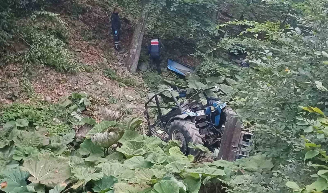 BOLU’DA YAYLADAN DÖNÜŞ YOLUNDA