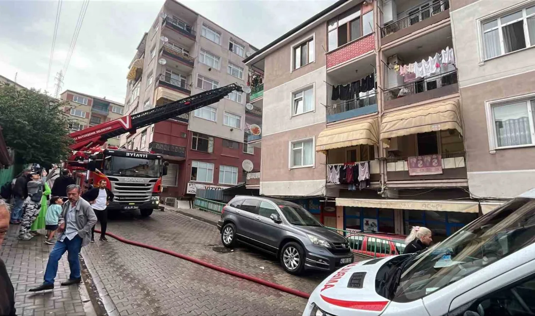 KOCAELİ'NİN İZMİT İLÇESİNDE 3