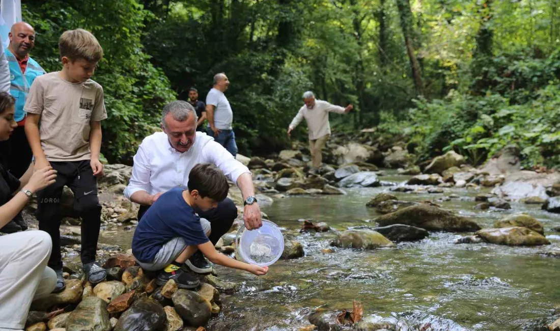 KOCAELİ'DE BALIK POPÜLASYONUNUN ARTMASI