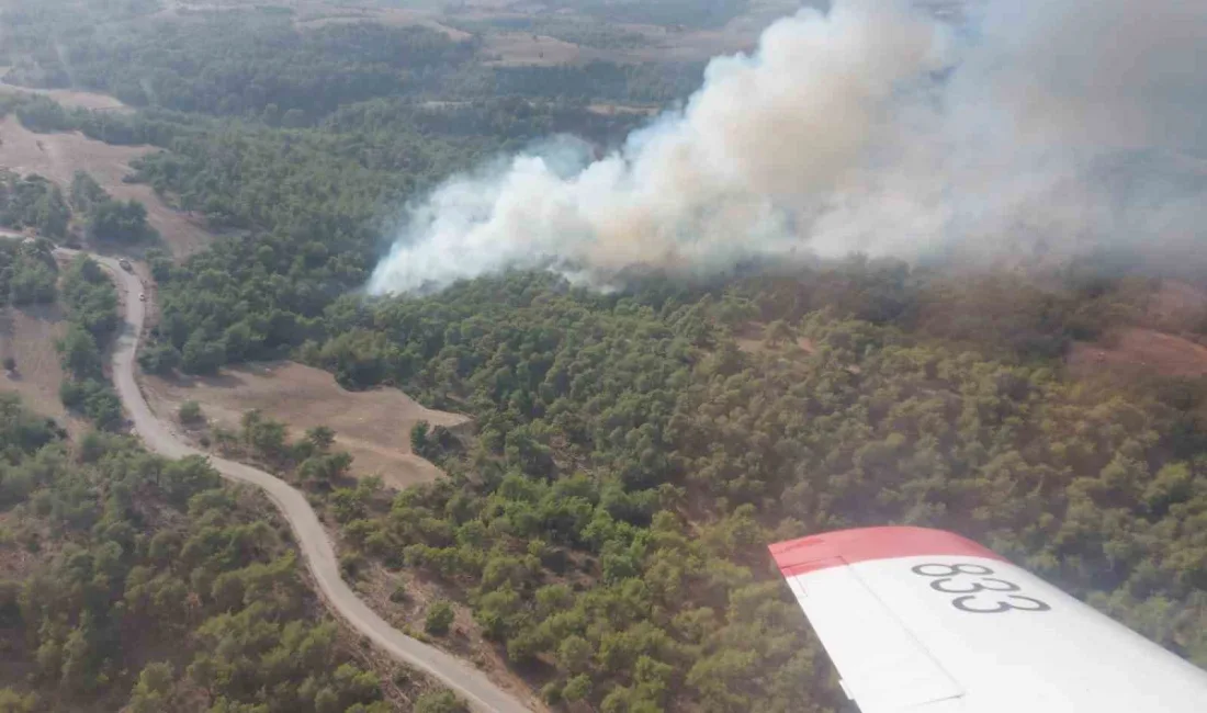 ADANA'DA ORMANLIK ALANDA ÇIKAN