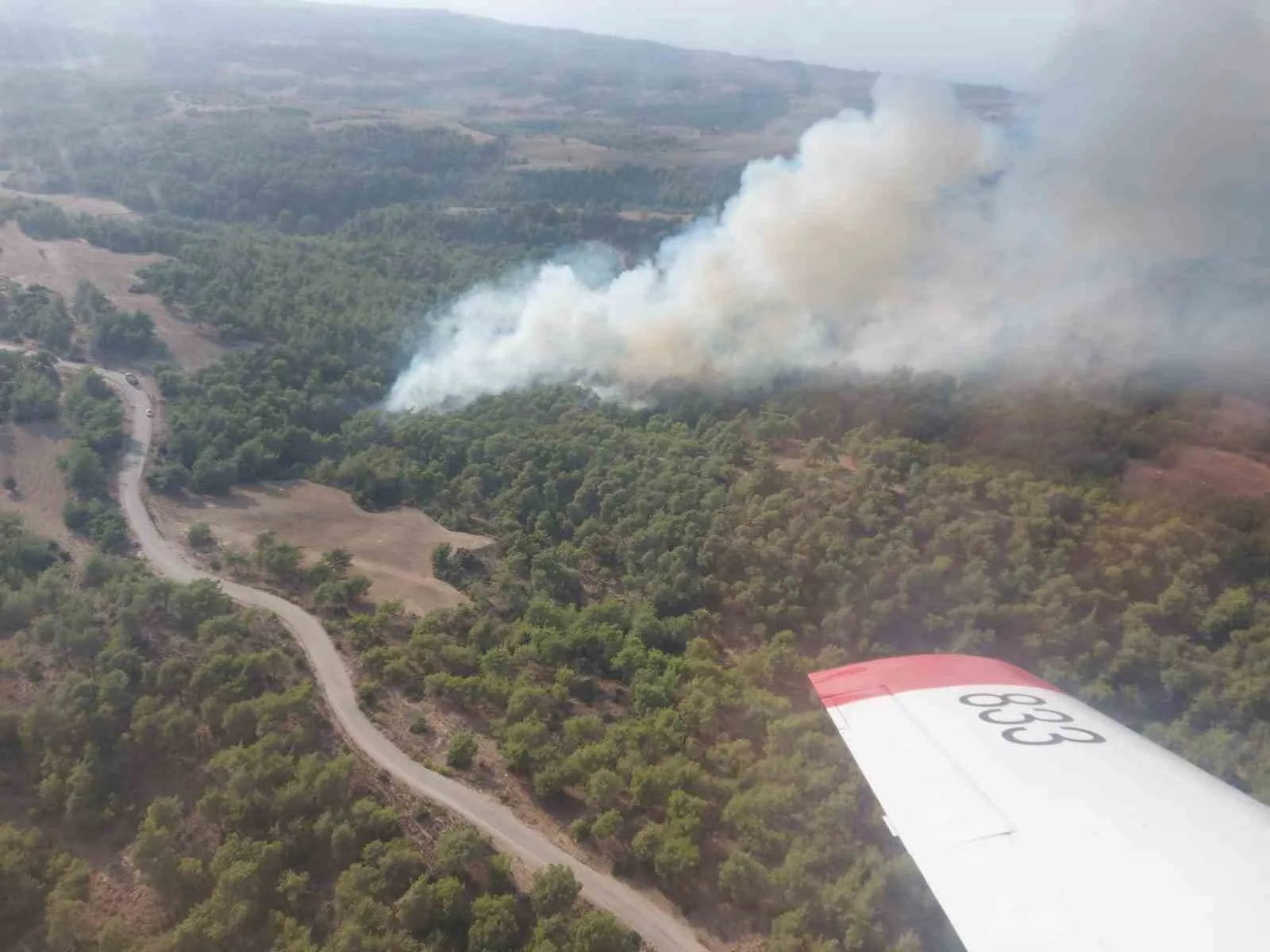 Adana’da çıkan orman yangını kontrol altına alındı