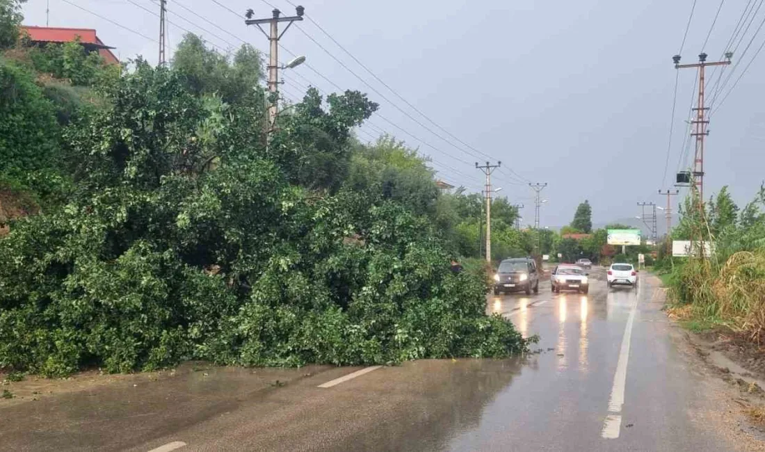 ADANA’NIN KOZAN İLÇESİNDE AŞIRI