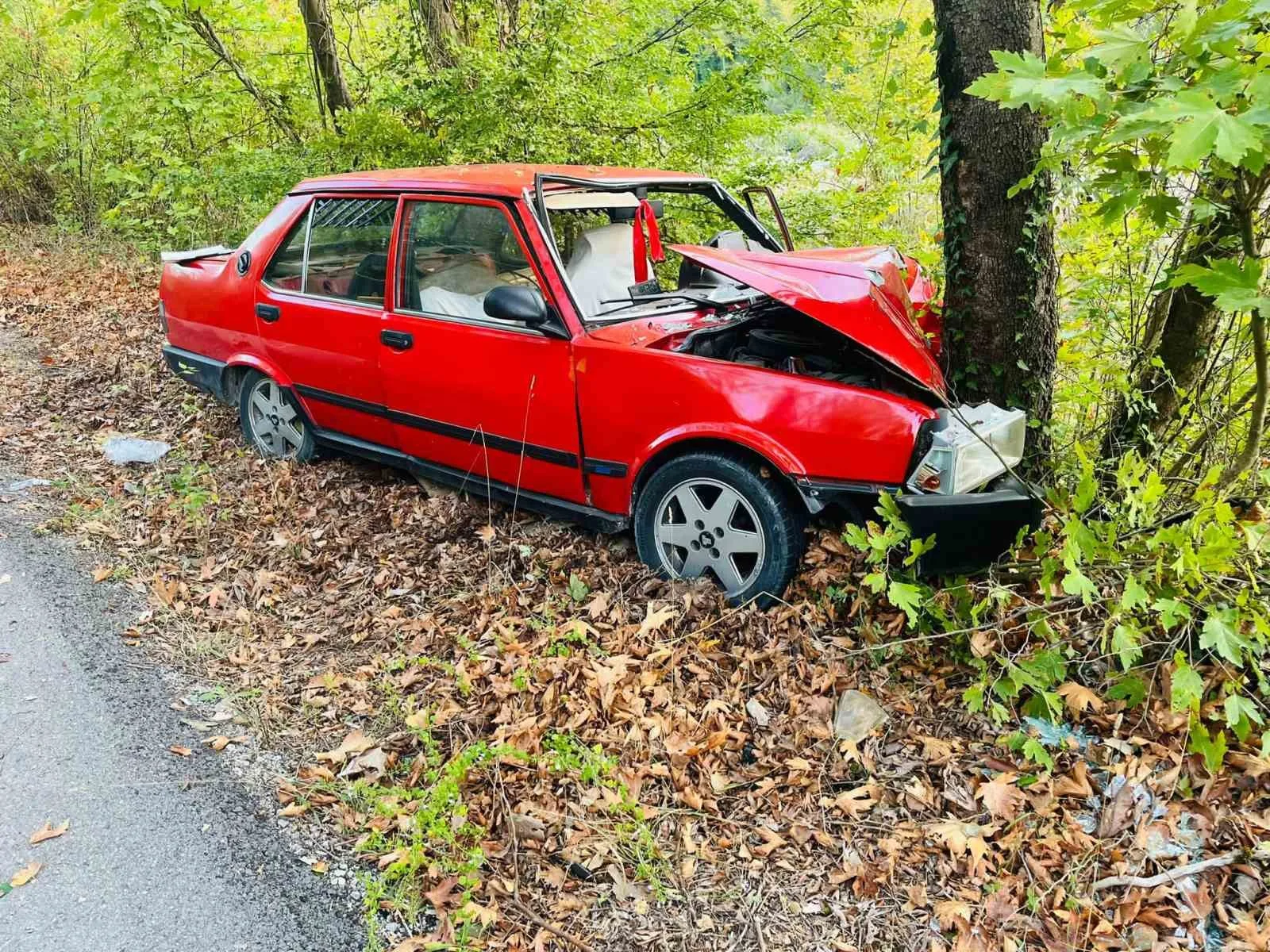 Ağaca çarpan otomobildeki 2 kişi yaralandı