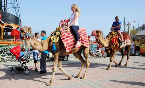 ALANYA BELEDİYE BAŞKANI OSMAN