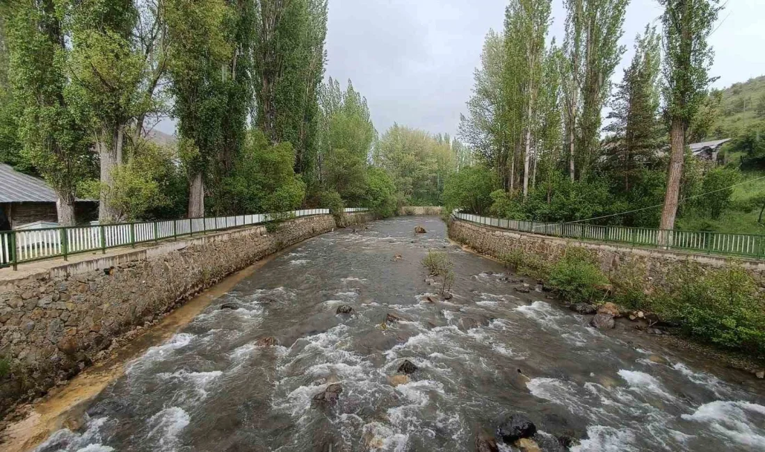 GİRESUN'UN ALUCRA İLÇESİ SUYURDU