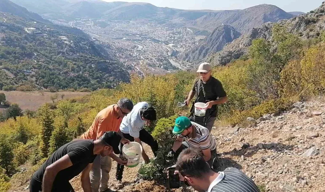 AMASYA’DA YAŞAYAN EFTELİOĞLU AİLESİNİN